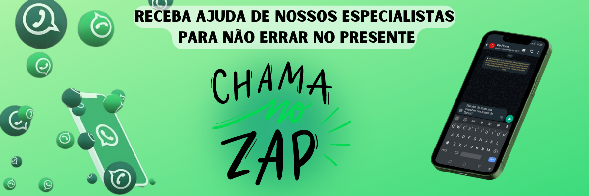 Slide Chamada para Whatsapp